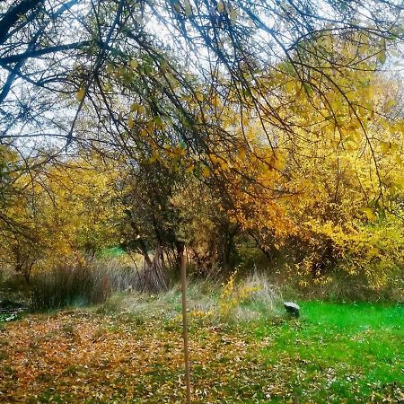הוילה סן לורנסו דה אל אסקוריאל La Yurta De Gaia מראה חיצוני תמונה