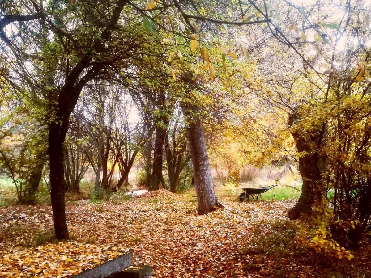 הוילה סן לורנסו דה אל אסקוריאל La Yurta De Gaia מראה חיצוני תמונה