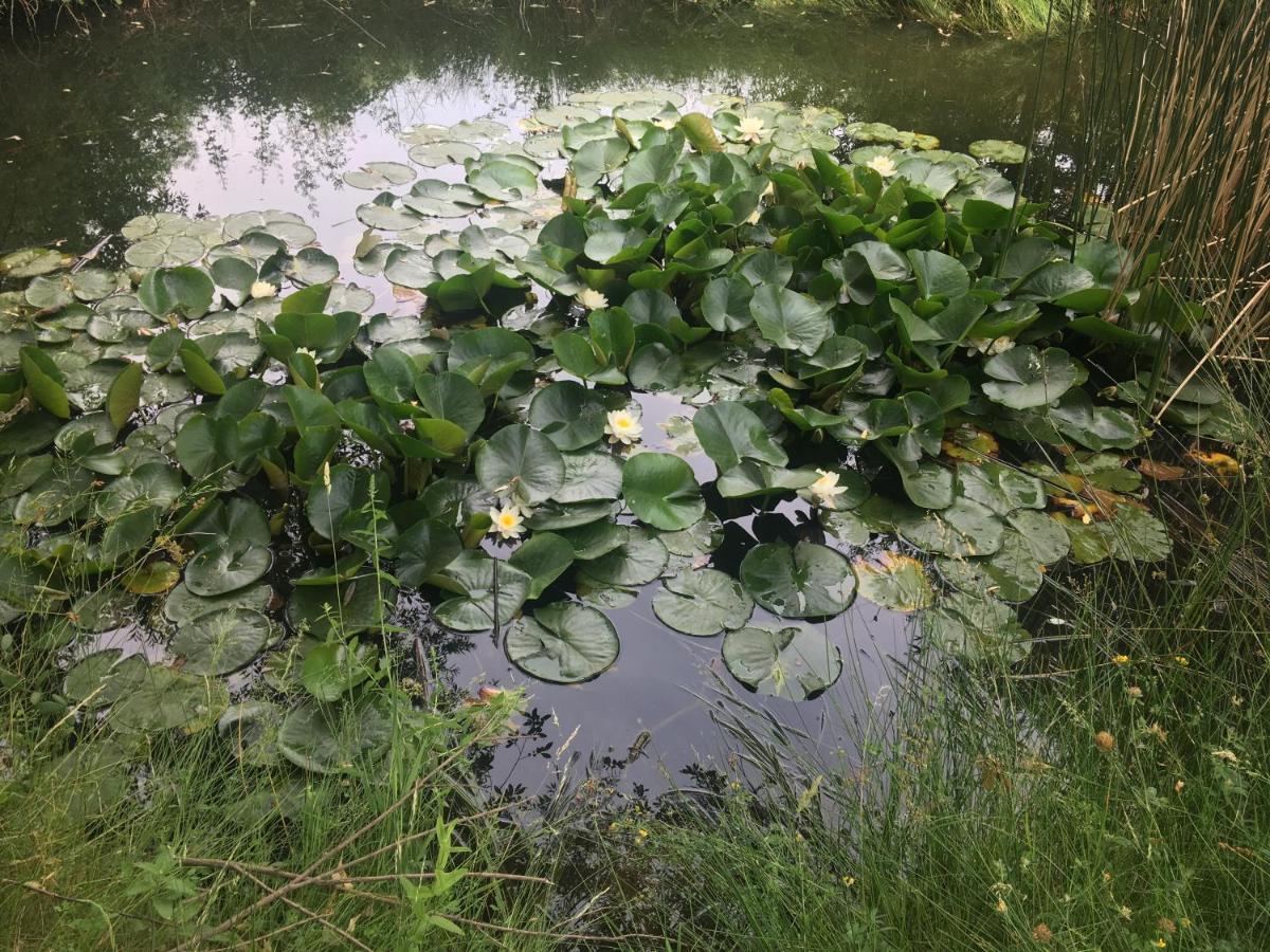 הוילה סן לורנסו דה אל אסקוריאל La Yurta De Gaia מראה חיצוני תמונה