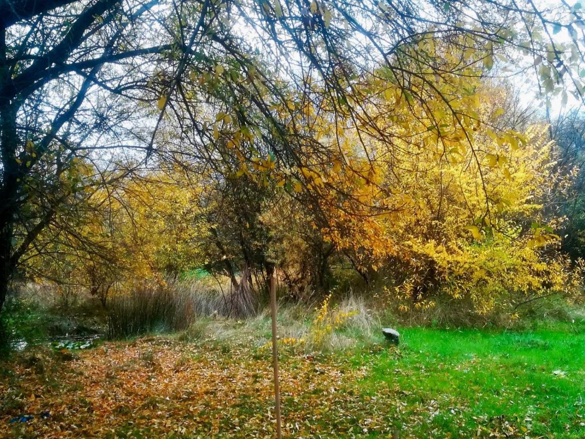 הוילה סן לורנסו דה אל אסקוריאל La Yurta De Gaia מראה חיצוני תמונה